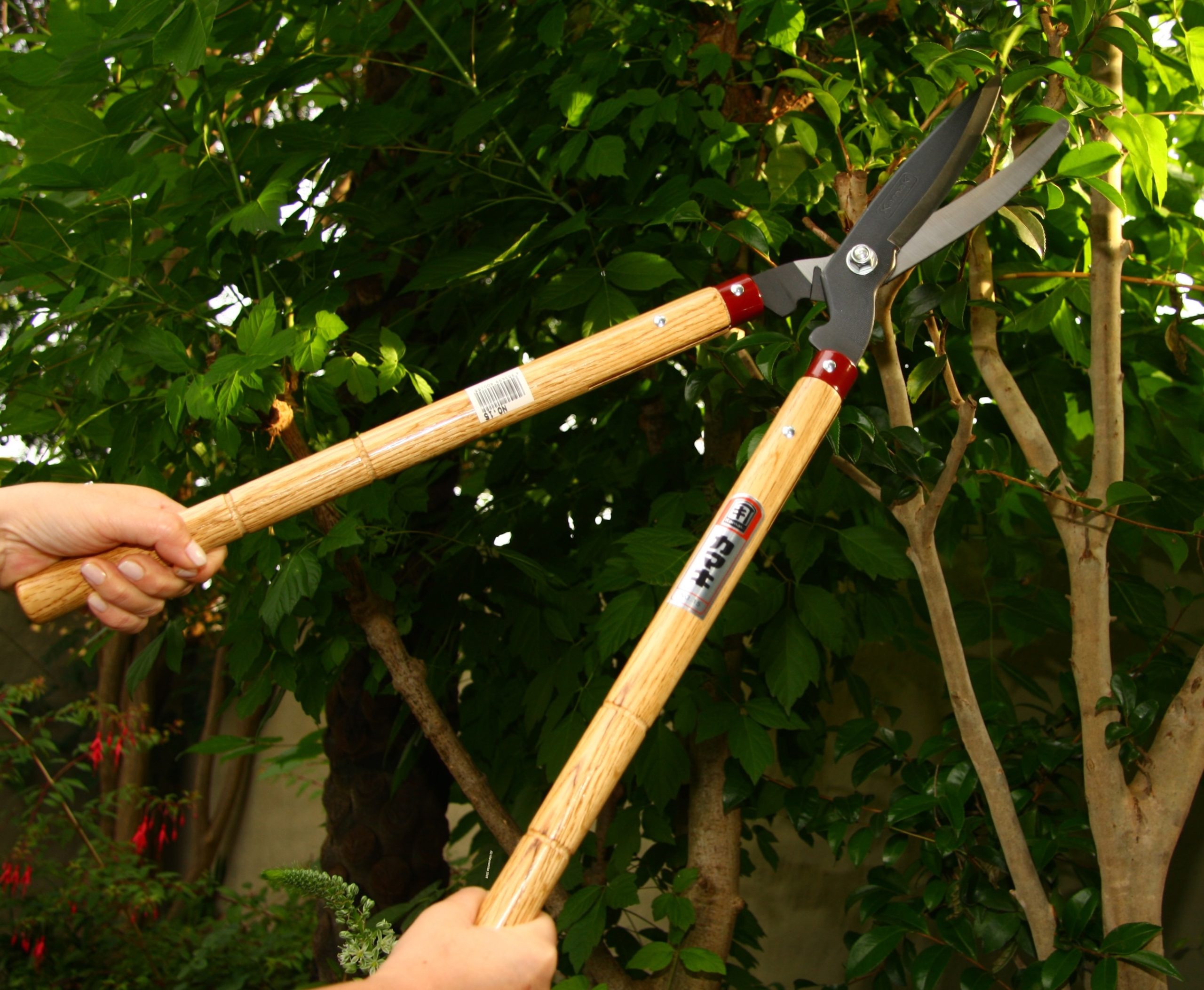 Kamaki No.15 Hedge Shears (strong type) - Image 5