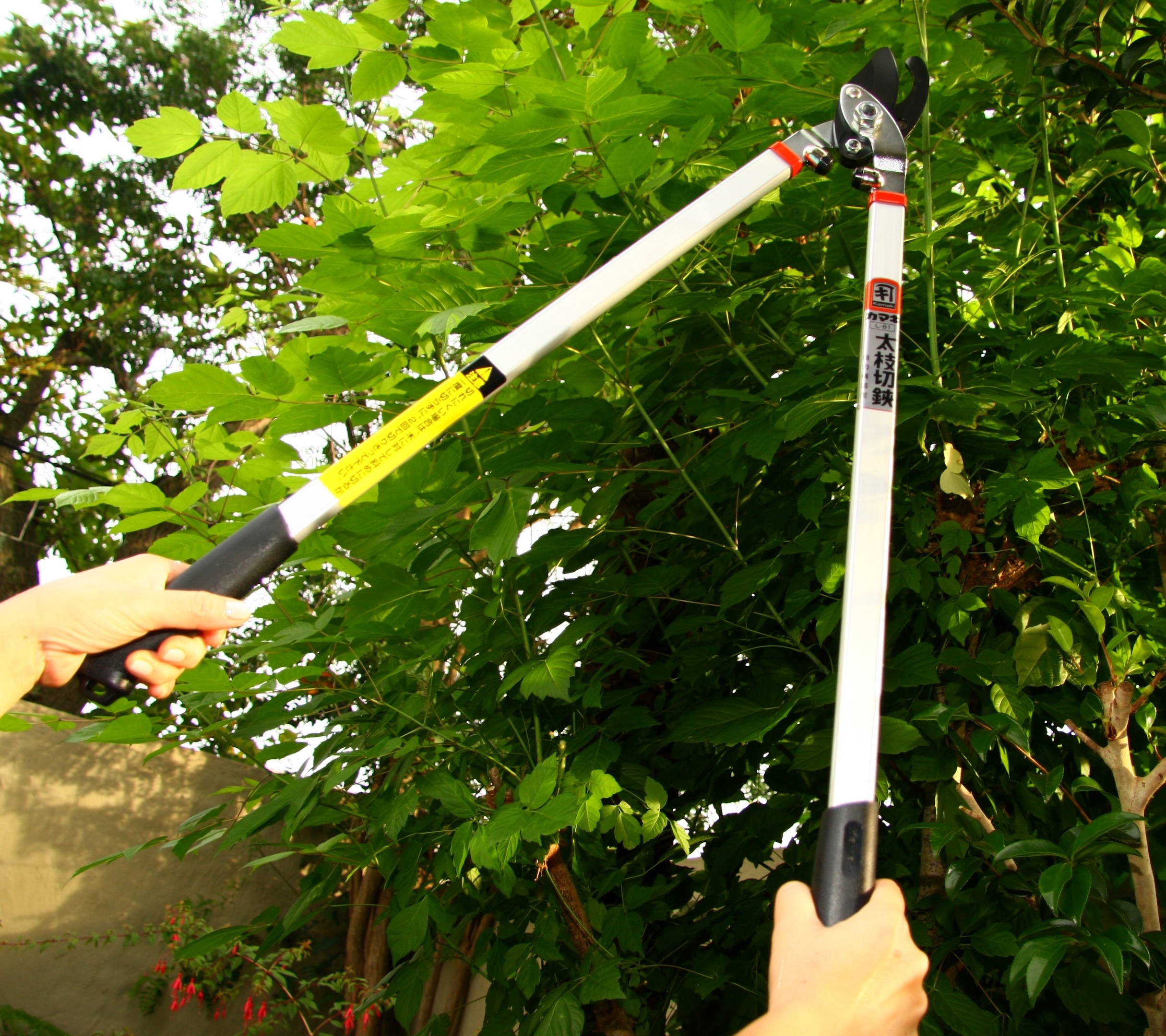 Kamaki No.L-81 Long-Reach Lopper (bypass type) replaceable blade - Image 4