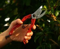 Kamaki No.Z-18 Pruning Shears (secateur) all-steel