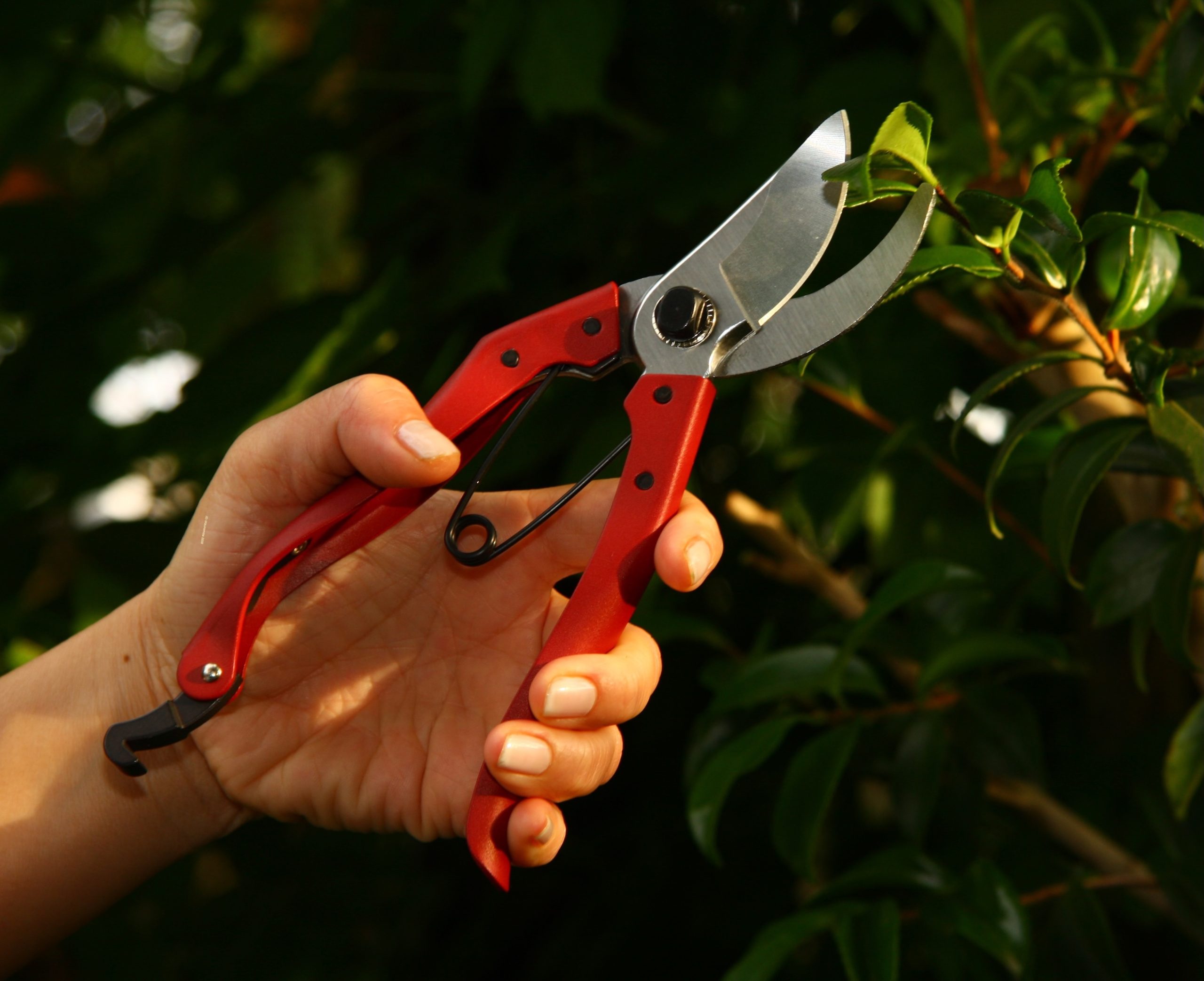 Kamaki No.Z-18 Pruning Shears (secateur) all-steel - Image 2